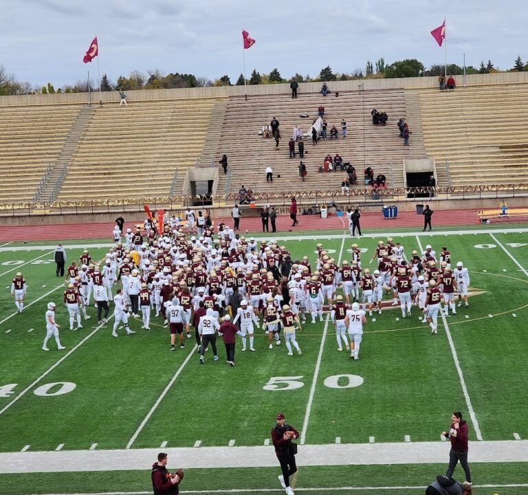 Soccer Field image 2