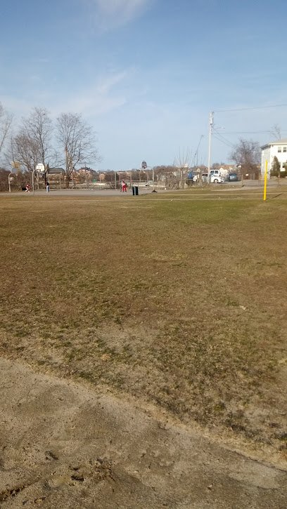 Soccer Field image 1