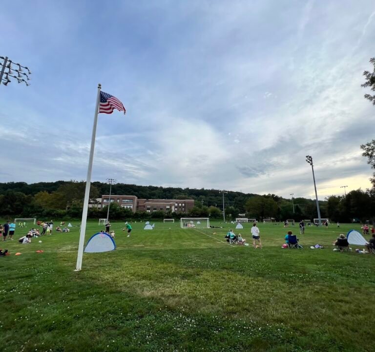 Soccer Field image 2