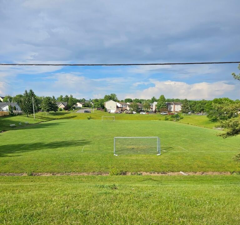 Soccer Field image 2