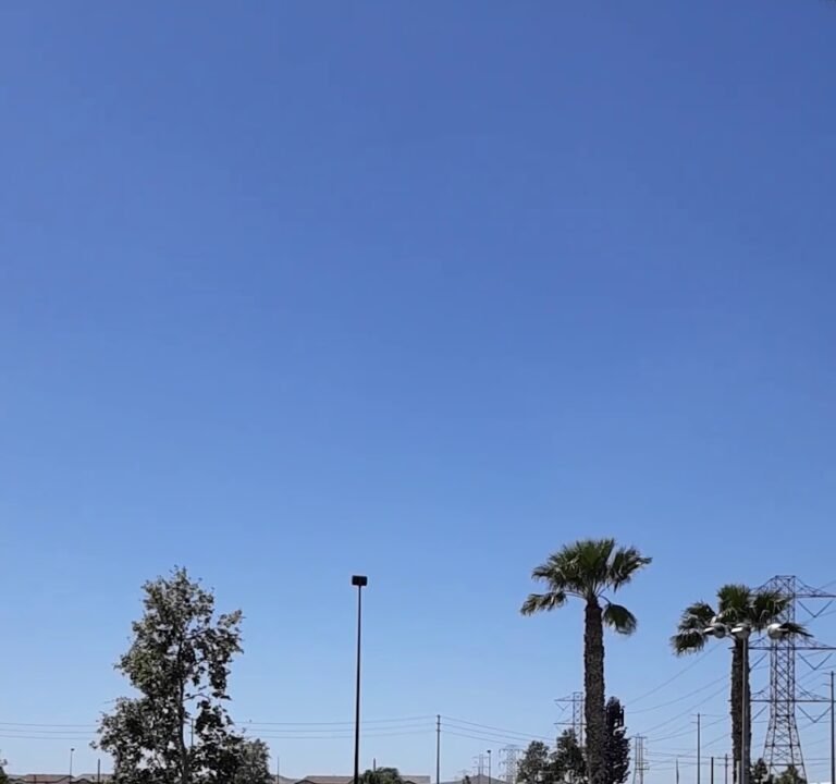 Soccer Field image 4