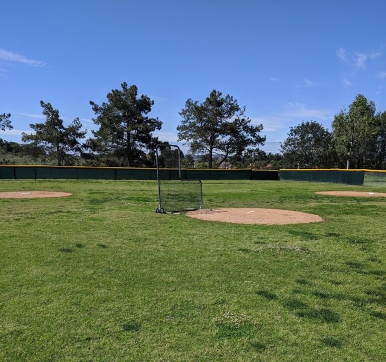 Soccer Field image 2