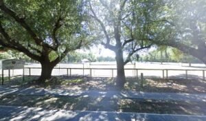 Soccer Field image 1