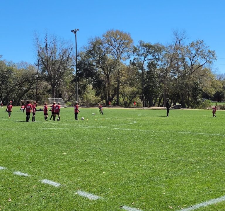 Soccer Field image 2