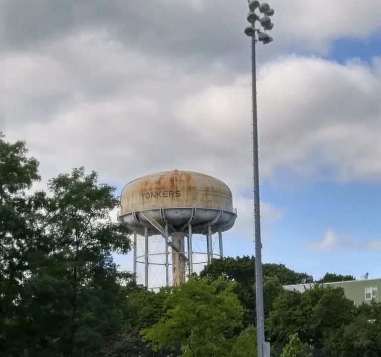 Soccer Field image 2