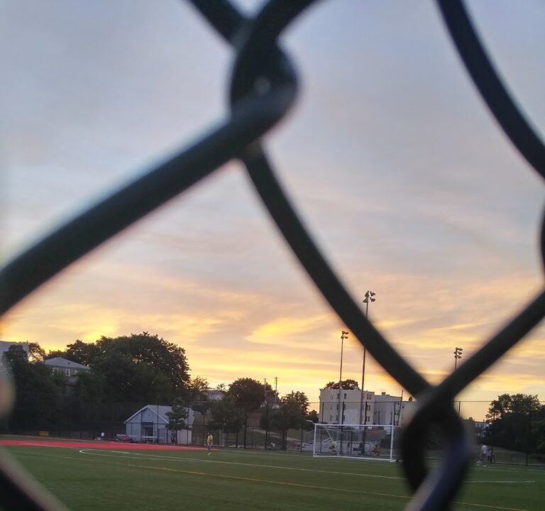 Soccer Field image 3