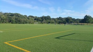 Soccer Field image 1