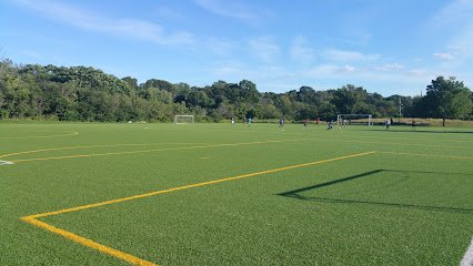 Soccer Field image 1