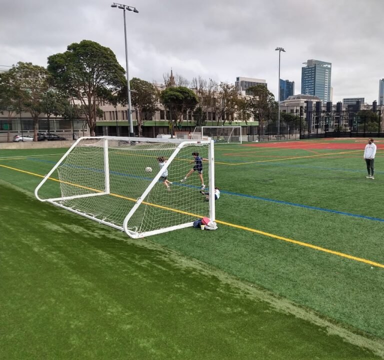 Soccer Field image 2