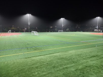 Soccer Field image 1