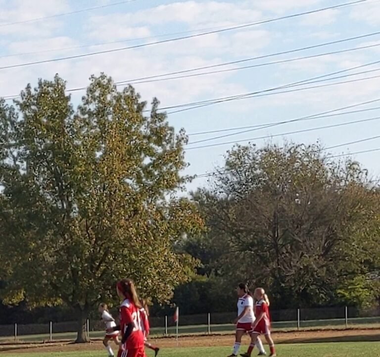 Soccer Field image 2