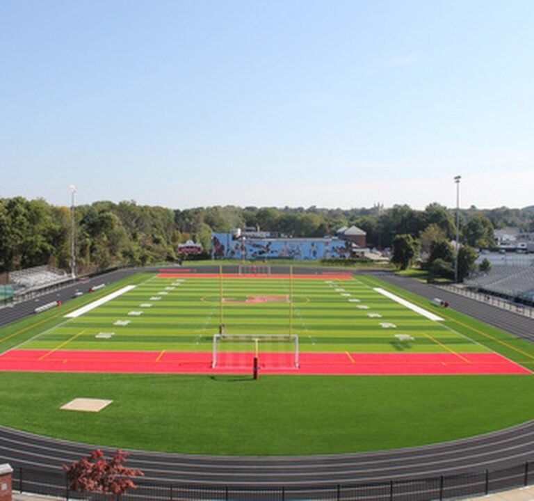 Soccer Field image 2