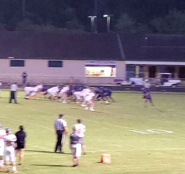 Soccer Field image 3