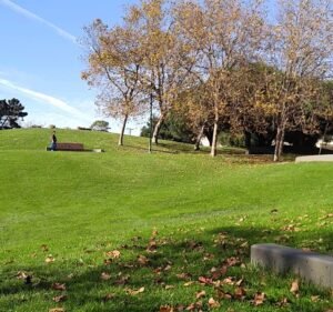 Soccer Field image 3