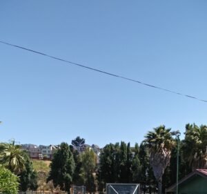 Soccer Field image 2