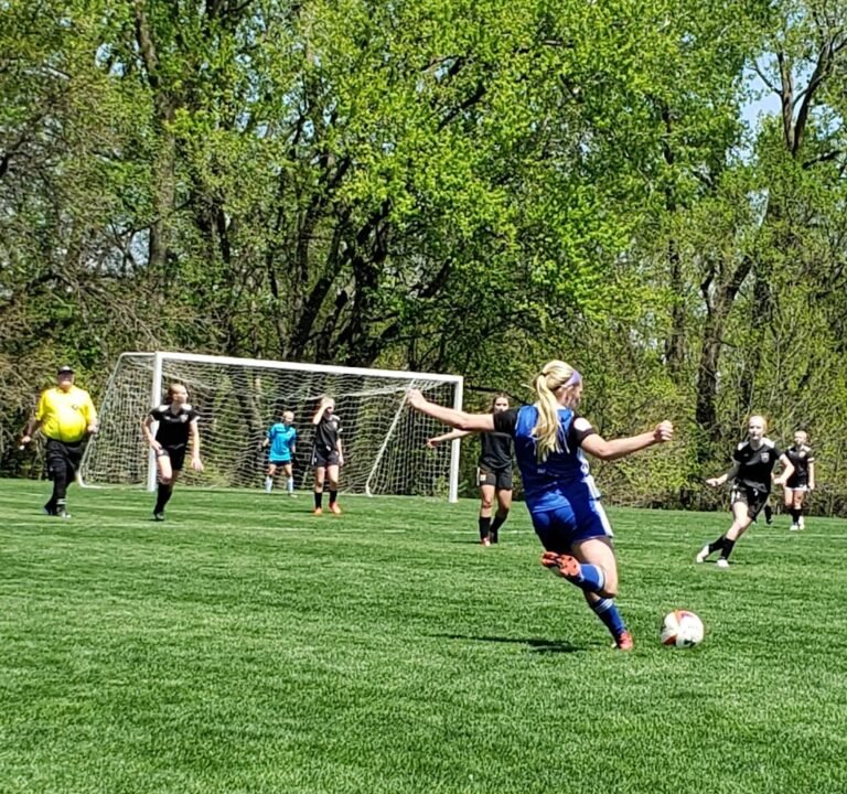 Soccer Field image 3