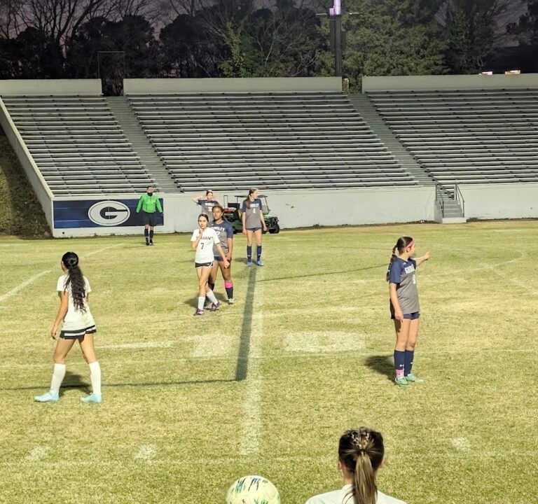 Soccer Field image 3