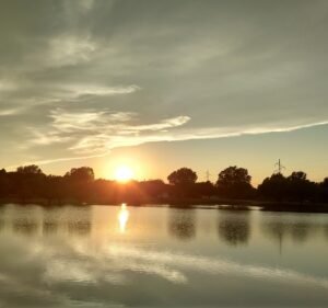 Soccer Field image 2