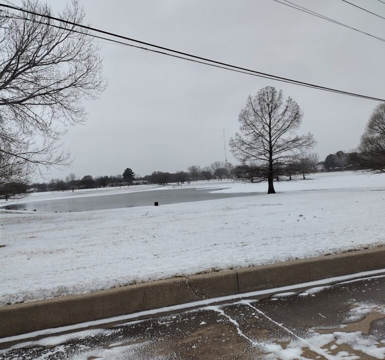 Soccer Field image 3