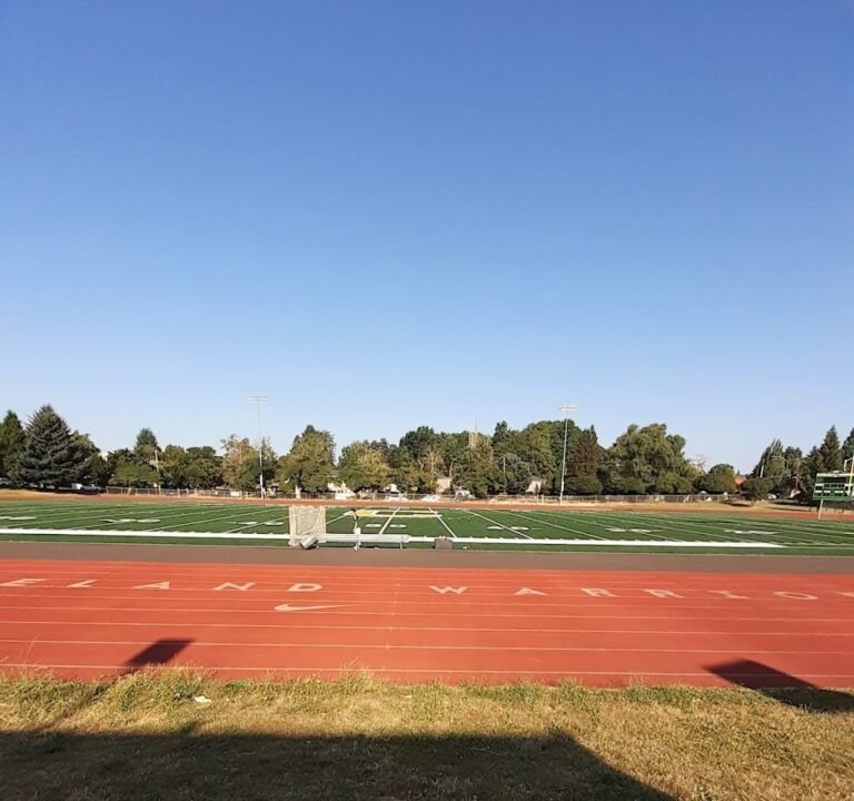 Soccer Field image 2