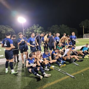 Soccer Field image 1