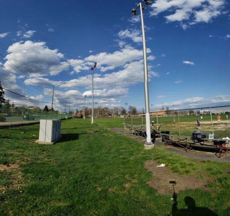 Soccer Field image 2