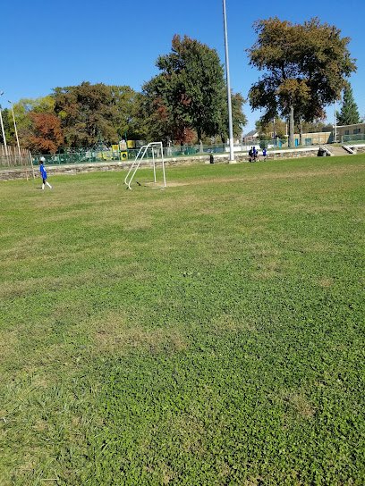 Soccer Field image 1