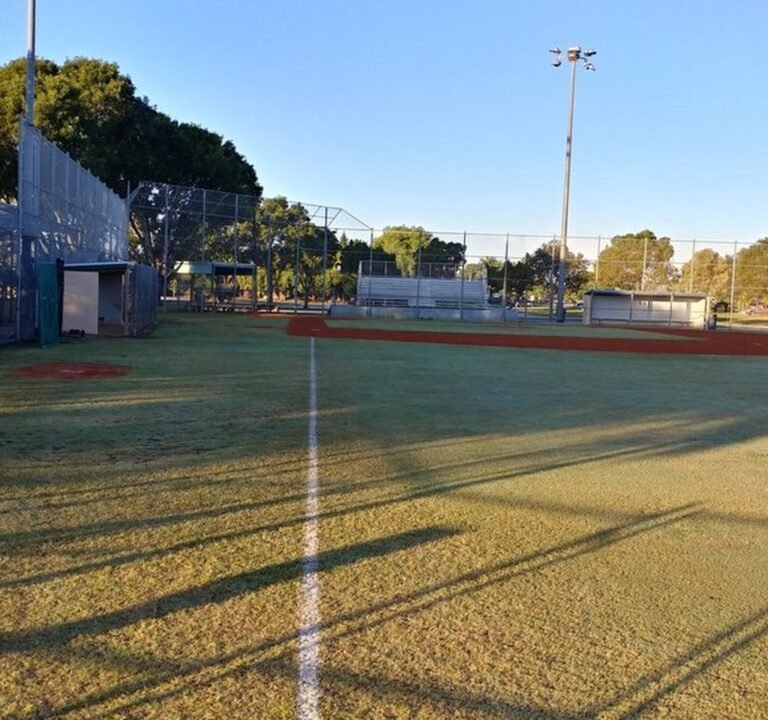 Soccer Field image 2