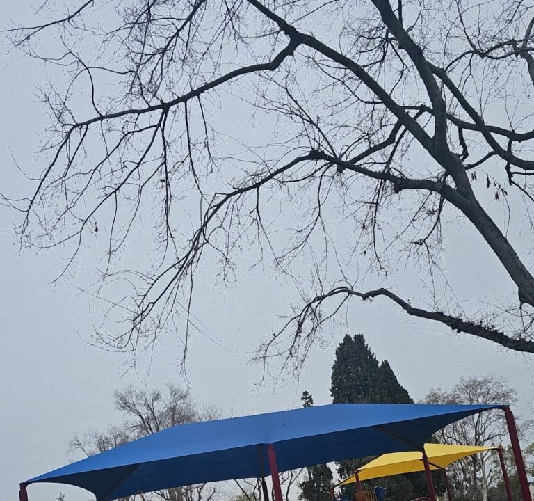 Soccer Field image 3