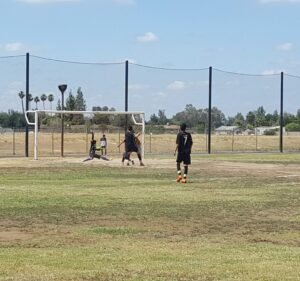 Soccer Field image 2