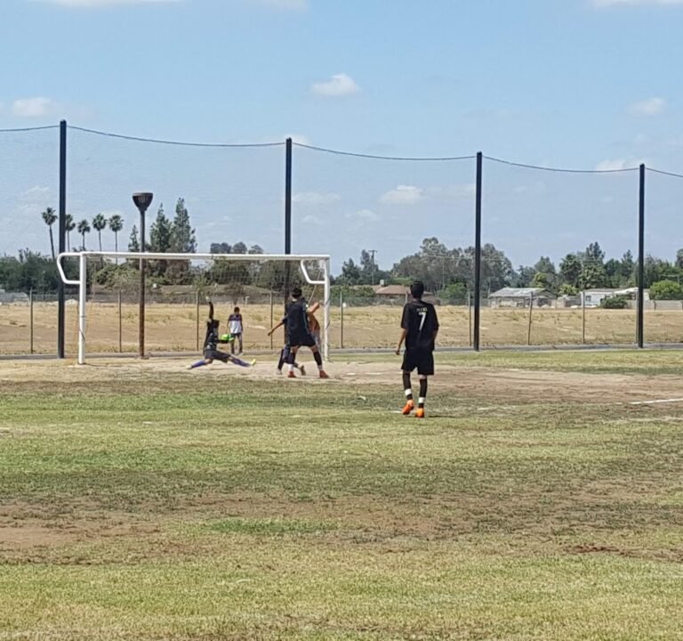 Soccer Field image 2