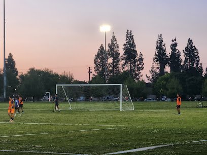 Soccer Field image 1