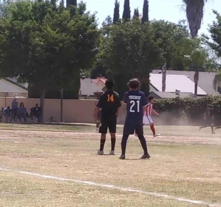 Soccer Field image 4