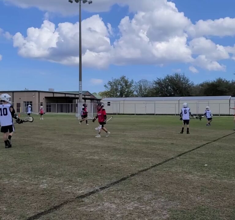 Soccer Field image 2