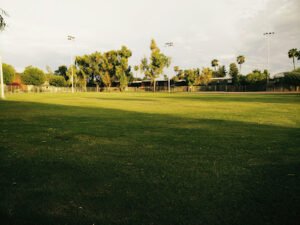 Soccer Field image 1