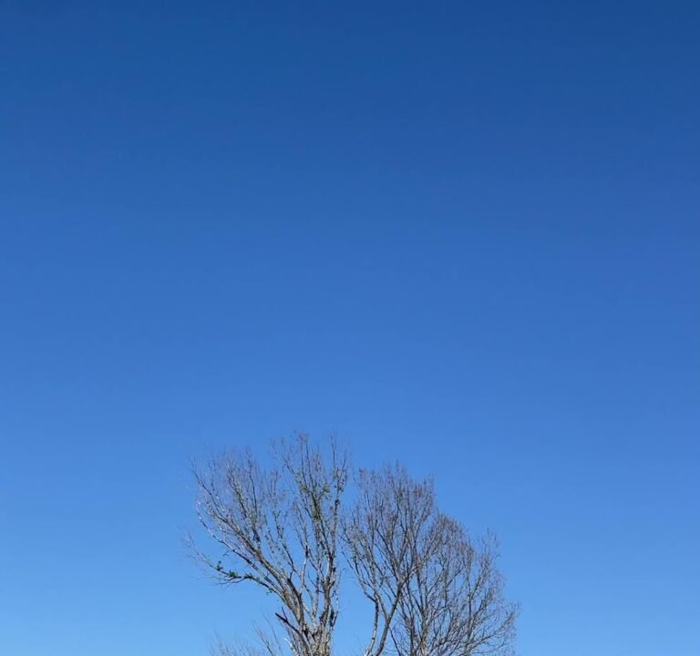 Soccer Field image 3