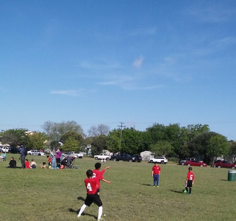 Soccer Field image 2