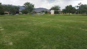 Soccer Field image 1