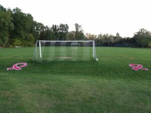 Soccer Field image 1