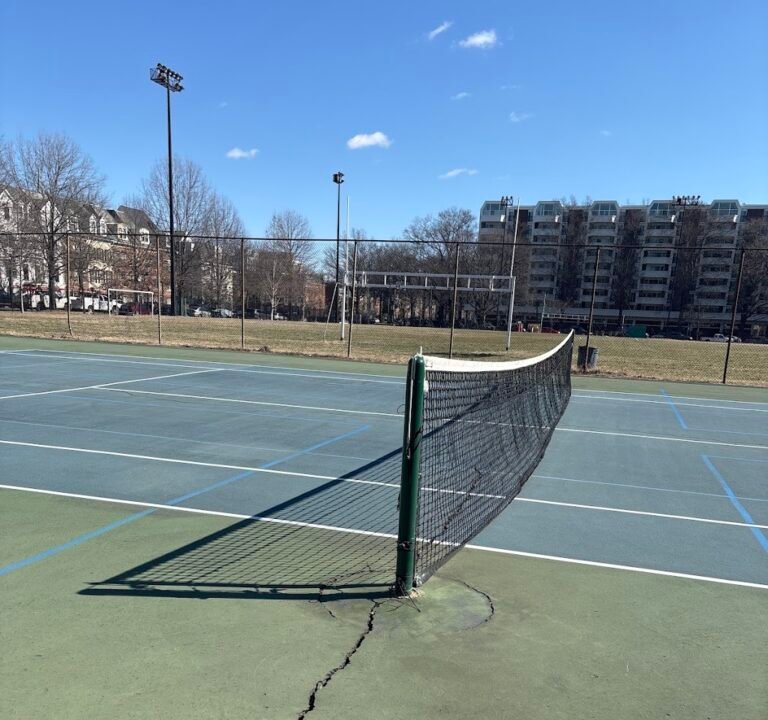 Soccer Field image 2