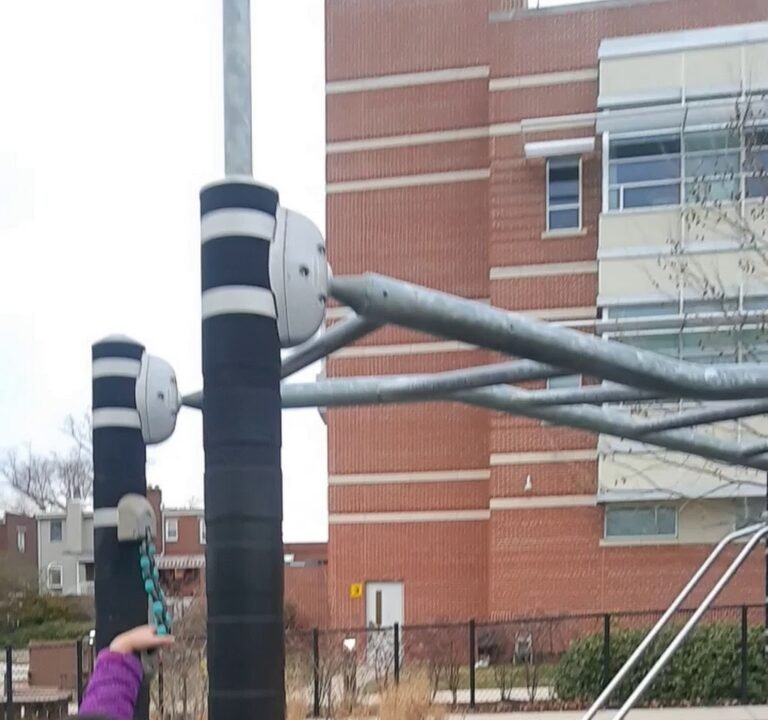 Soccer Field image 4