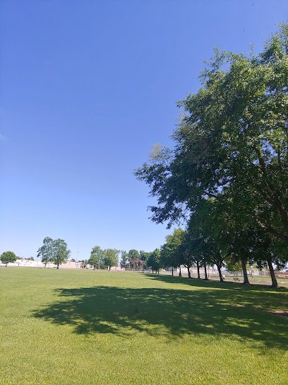 Soccer Field image 1