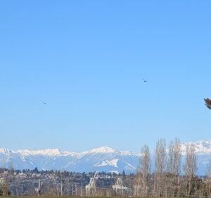 Soccer Field image 3