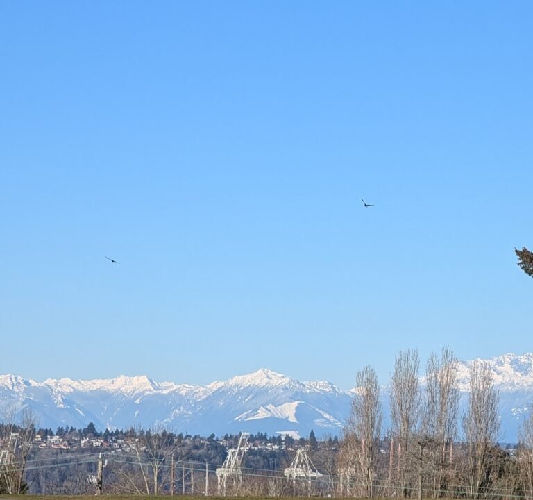 Soccer Field image 3
