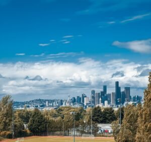 Soccer Field image 3