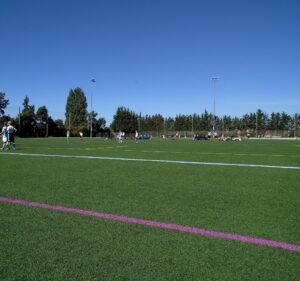 Soccer Field image 2