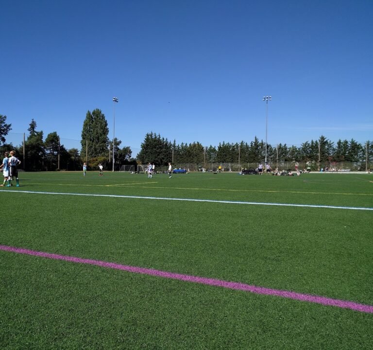 Soccer Field image 2