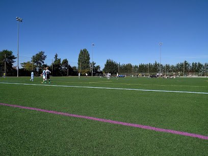 Soccer Field image 1
