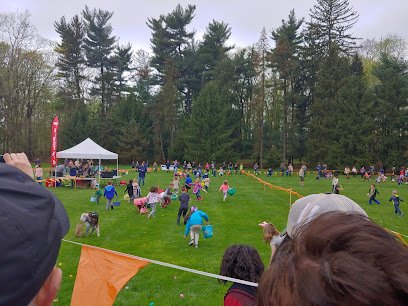 Soccer Field image 1