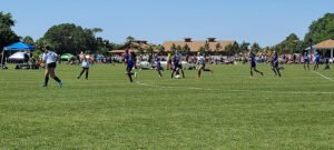 Soccer Field image 1